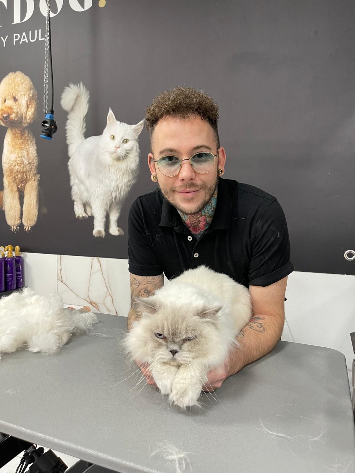Paul van CatDog by Paul met verzorgde huisdieren